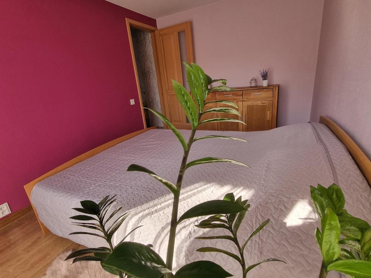 Apartment Kursi Kolka Extérieur photo